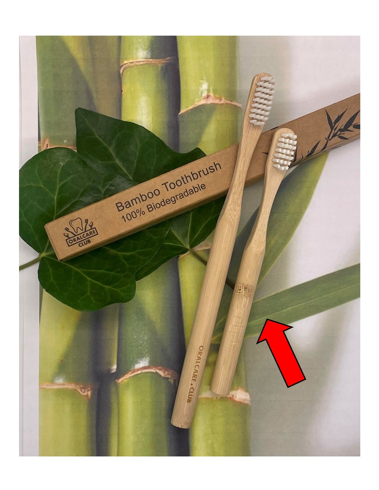 Child sized, Soft, Biodegradable, Bamboo Toothbrush (2 Pack)