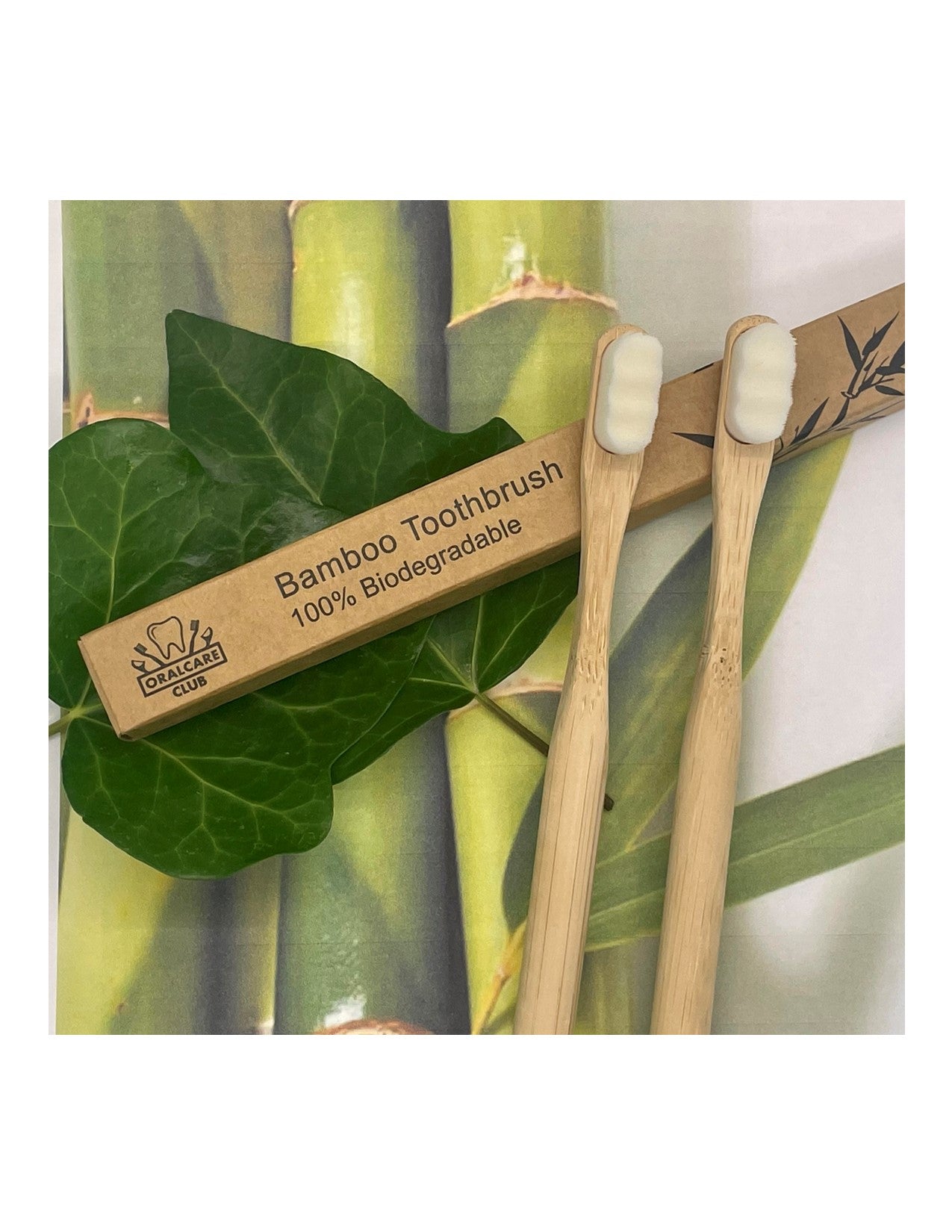 Adult sized, Ultra Soft, Biodegradable, Bamboo Toothbrush (2 Pack)