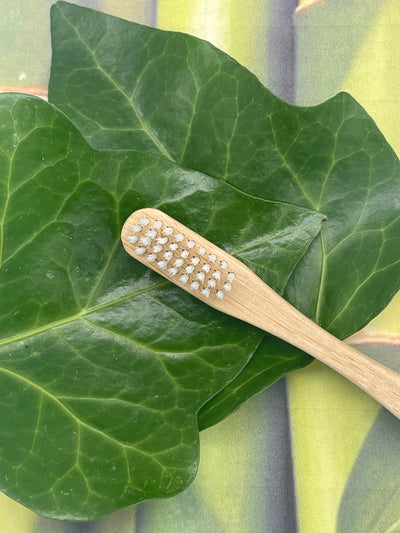 Adult sized, Soft, Biodegradable, Bamboo Toothbrush (2 Pack) $12.99